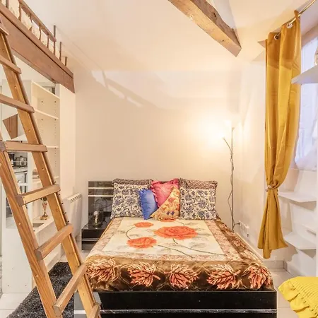 La Petite Reine Blanche Apartment *