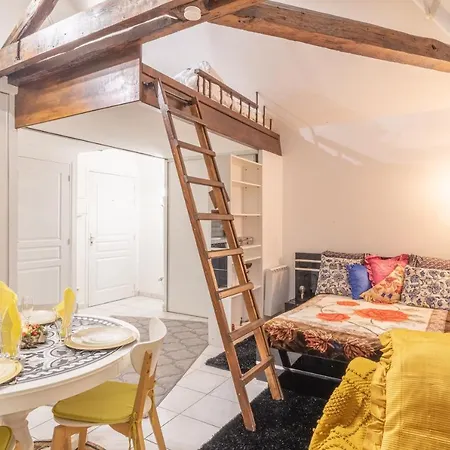 La Petite Reine Blanche Apartment Dammarie-les-Lys